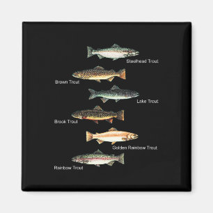 Íman Tipos de Espécies de Truta Coleção de Pesca