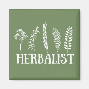 Íman Tipos de herbais herbalistas