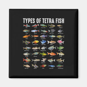 Íman Tipos De Peixes Tetra - Espécies De Peixes De Aquá