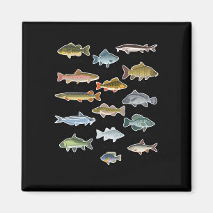 Íman Tipos de pesca de peixes de água doce