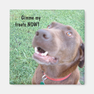 Íman Tira agora o ímã