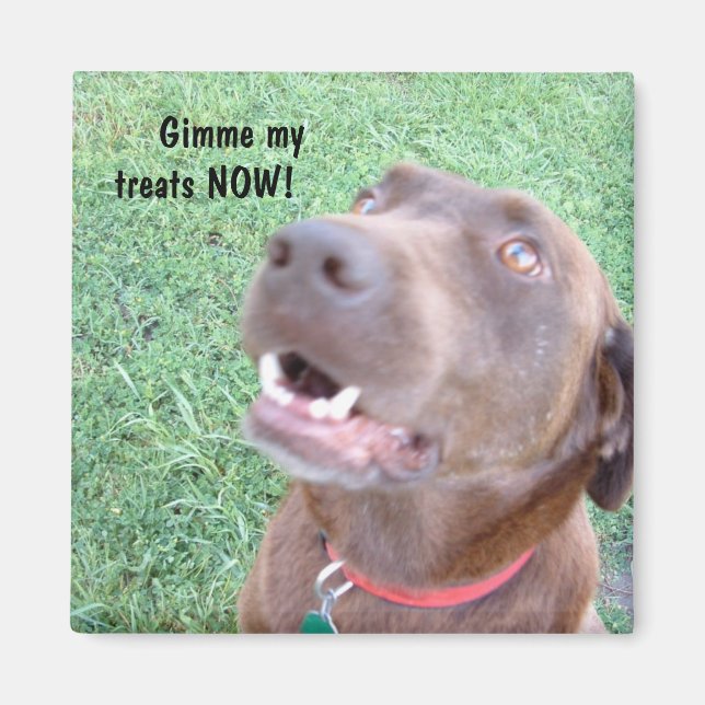 Íman Tira agora o ímã (Frente)