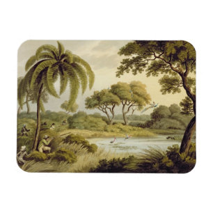 Íman Tiro do pavão, "dos esportes de campo orientais",