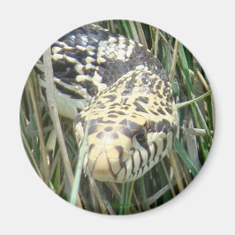 Íman Tiro na Cabeça de R4 Bull Snake
