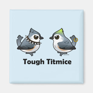 Íman Titmice Duro