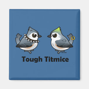 Íman Titmice Duro