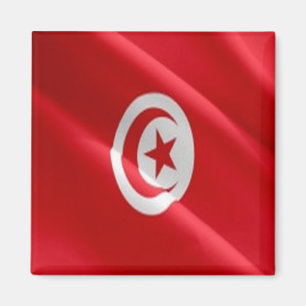 Íman TN - Tunísia - Onda de Bandeira