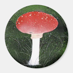 Íman Toadstool Cogumelo em Moscou