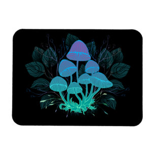 Íman Toadstools em arbustos