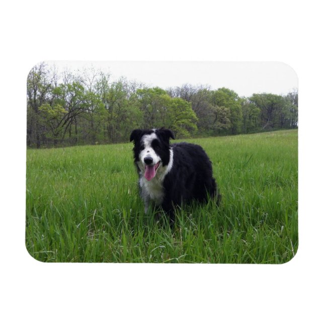 Íman Toby (Horizontal)