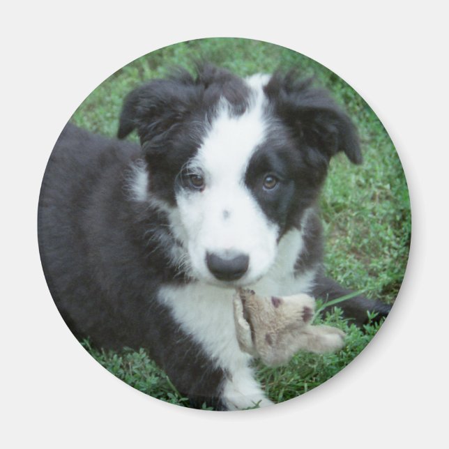 Íman Toby1 (Frente)