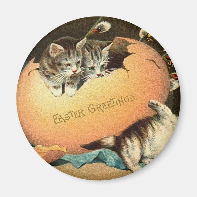 Íman Tocando Páscoa de Kittens (Frente)