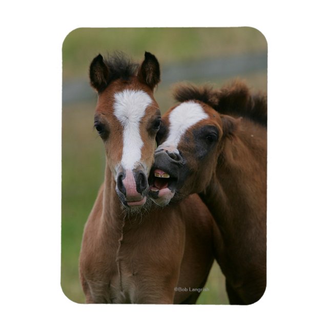 Íman Tocar Pés (Vertical)