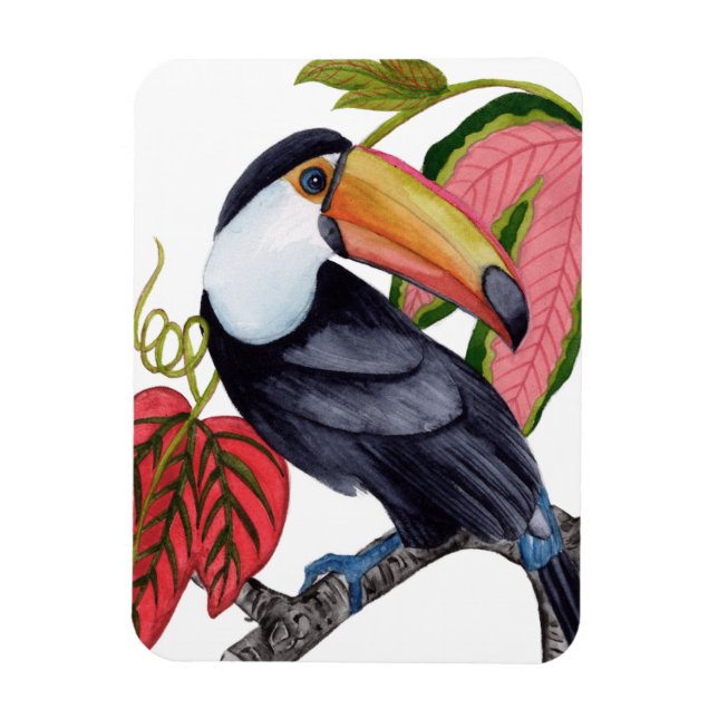 Íman Toco Toucan (Vertical)