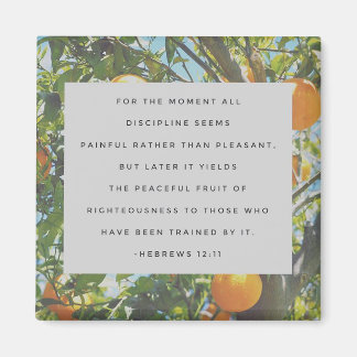 Íman Todo o Magnet Disciplinar