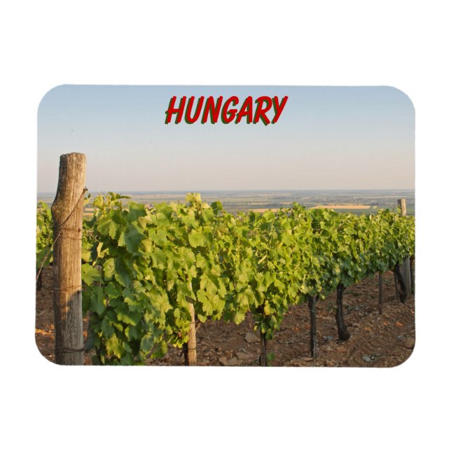Íman Tokaj vineyards, Hungria (Horizontal)