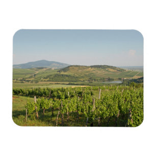 Íman Tokaj vineyards, Hungria