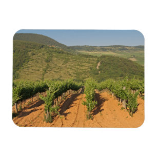 Íman Tokaj vineyards, Hungria