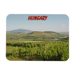 Íman Tokaj vineyards, Hungria