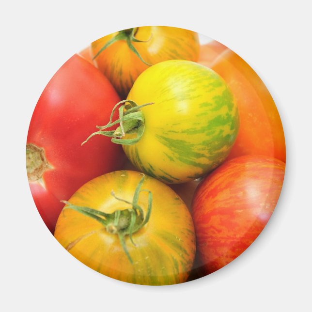 Íman Tomates de herança coloridos (Frente)