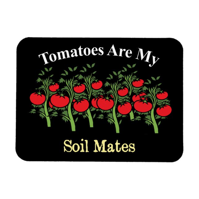 Íman Tomates Engraçados São Meus Amigos De Solo (Horizontal)