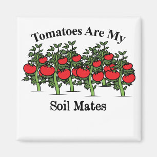 Íman Tomates Engraçados São Meus Amigos De Solo