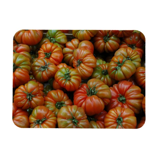 Íman Tomates Magnet (Horizontal)