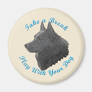 Íman Tome uma ruptura (o Schipperke)