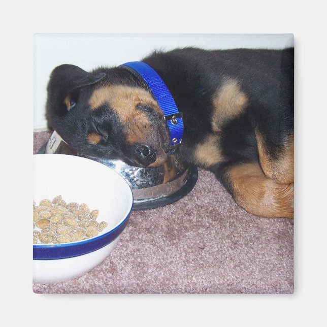 Íman tonto. (Frente)