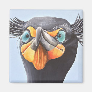 Íman Tony, um Cormorant Dobro-Com crista