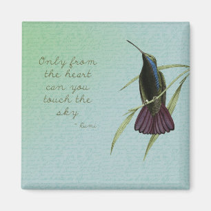 Íman Toque no colibri do céu