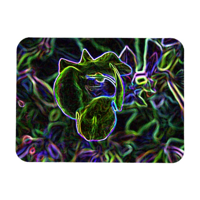 Íman Torenia Edited (Horizontal)