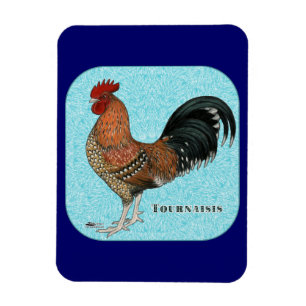 Íman Tornaisis Rooster