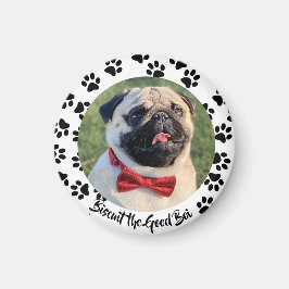 Íman Torne-o um cachorro marrom