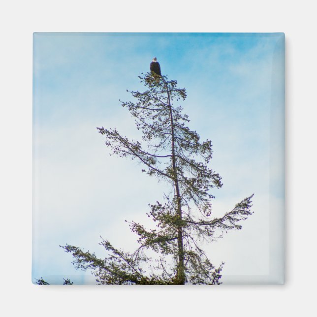 Íman Torre de monitoração (Frente)