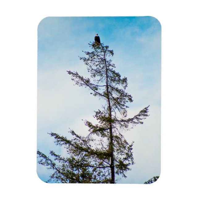 Íman Torre de monitoração (Vertical)