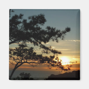 Íman Torrey Pine Sunset I California Landscape