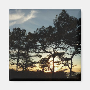Íman Torrey Pine Sunset II, área da Califórnia