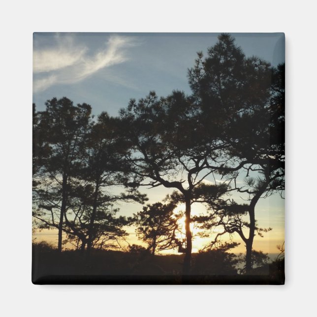 Íman Torrey Pine Sunset II, área da Califórnia (Frente)