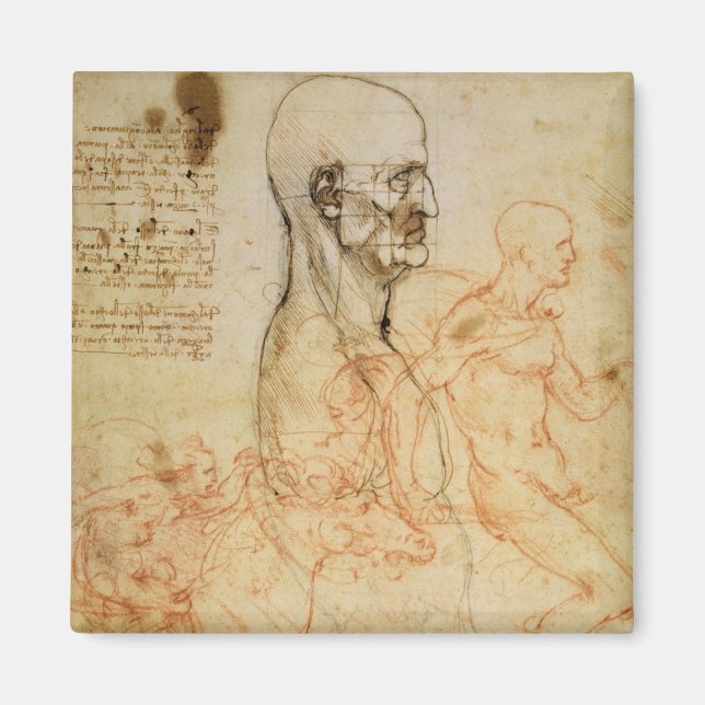 Íman Torso de um Homem em Perfil, a Cabeça Esquadrado p (Frente)