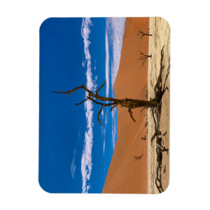 Íman Toter Baum em Deadvlei