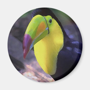 Íman Toucan 1 ímã