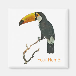 Íman Toucan Retrait Animal Tropical Bird Design