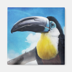 Íman Toucano na pintura digital de pássaros Mistura Ai