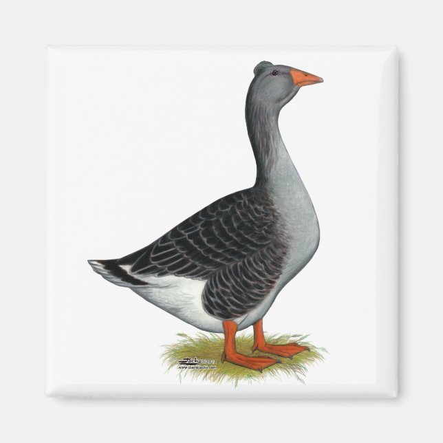 Íman Toulouse Goose Tufted (Frente)