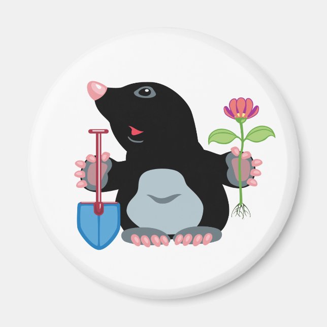 Íman toupeira (Frente)