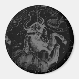 Íman Touro Constellation Hevelius 1690 Decor
