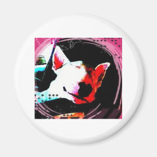 Íman touro inglês terrier
