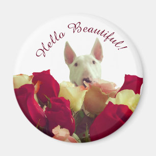 Íman Touro terrier com saudação de rosas - Olá Bela