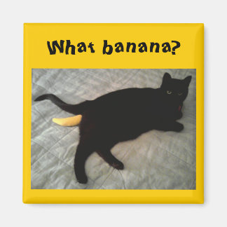 Íman Toy de gato de banana ausente